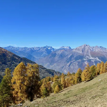 Apartment Welcoming Near Area Nendaz