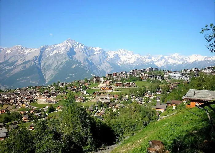 Welcoming Near Area * Nendaz